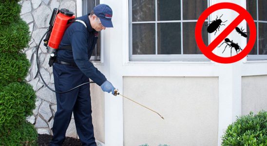 Başmakçı Kemirgen İlaçlama böcek ilaçlama ve haşere kontrolü — ilaclama-tr.com
